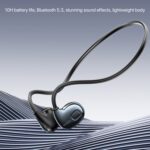 Earphones
