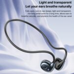 Earphones